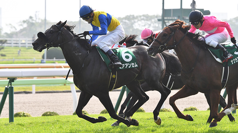 7月14日 函館記念 無料競馬予想のガガガ競馬