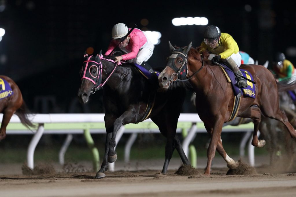 6月9日 東京ダービー 無料競馬予想のガガガ競馬