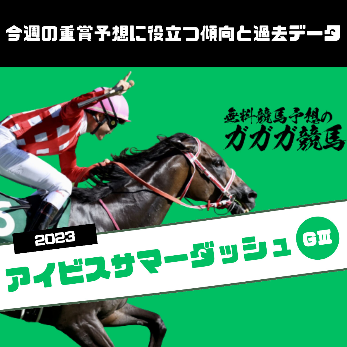 攻略特典あり 地方競馬予想 大井＋門別＋園田 - 趣味